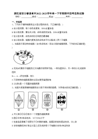 湖北省部分普通高中2022-2023学年高一下学期期中联考生物试卷（含答案）