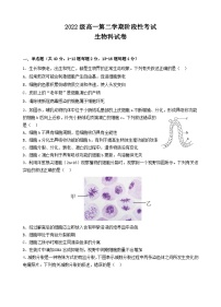 广东省汕头市金山中学2022-2023学年高一生物下学期3月阶段性考试试题（Word版附答案）