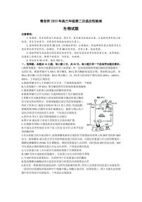 2023届山东省青岛市高三下学期第二次适应性检测（二模）生物PDF版含答案