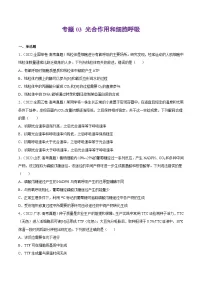 专题03 光合作用和细胞呼吸——【全国通用】2020-2022三年高考生物真题分类汇编（原卷版+解析版）