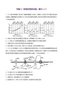 专题02 细胞的物质运输、酶与ATP——【新高考专用】2020-2022三年高考真题生物分类汇编（原卷版+解析版）