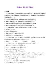 专题05 遗传的分子基础——【新高考专用】2020-2022三年高考真题生物分类汇编(原卷版+解析版)