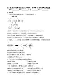 四川省眉山市仁寿县2022-2023学年高一下学期4月期中联考生物试卷（含答案）