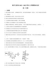 2022-2023学年河南省商开大联考高一上学期期末考试生物试题PDF版含答案