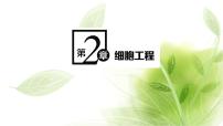 人教版 (2019)一 植物细胞工程的基本技术课堂教学课件ppt