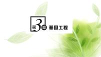 高中生物人教版 (2019)选择性必修3第1节 重组DNA技术的基本工具示范课课件ppt