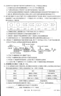 2023新乡市金太阳高一下期中考试生物试卷及参考答案