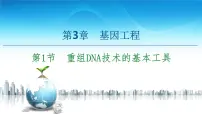 高中生物选择性必修三 第3章 第1节 重组DNA技术的基本工具 课件练习题
