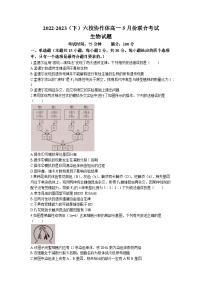 辽宁省六校协作体2022-2023学年高一下学期期中生物试题