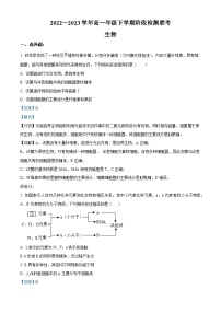 安徽省马鞍山市2022-2023学年高一生物下学期4月阶段联考试题（Word版附解析）