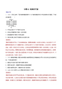 专题02 细胞的能量与代谢-十年（2012-2021）高考生物真题分项汇编（全国通用）（解析版）