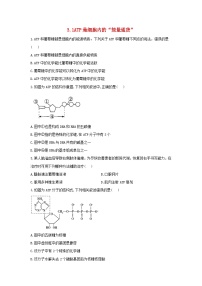 浙科版 (2019)必修1《分子与细胞》第一节 ATP是细胞内的“能量通货”课堂检测