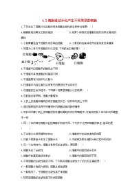 生物必修1《分子与细胞》第二节 细胞通过分化产生不同类型的细胞一课一练