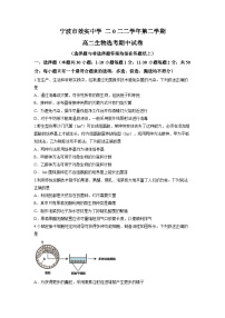 浙江省宁波市效实中学2022-2023学年高二生物下学期期中试题（Word版附答案）