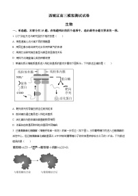 北京市西城区2023届高三二模生物试题  Word版无答案