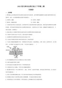 2023届天津市红桥区高三下学期二模生物试题（PDF版）