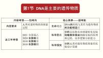 2023届高三生物复习课件基因的本质