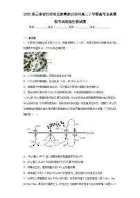 2023届云南省红河哈尼族彝族自治州高三下学期高考全真模拟考试理综生物试题(含解析)