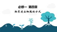 山东省2023届高三生物复习课件高考物质进出细胞的方式专题