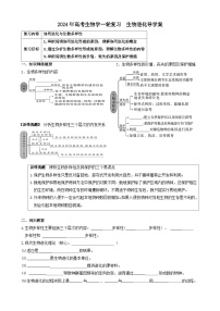 2024届高考生物一轮复习 生物进化导学案