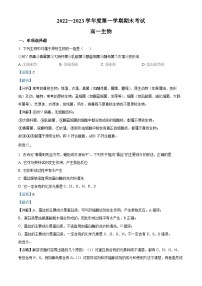 2022-2023学年广东省茂名市电白区高一上学期期末生物试题（解析版）