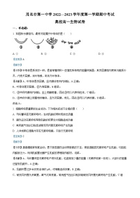 2022—2023学年广东省茂名市一中高一上学期期中考试奥校生物试题（解析版）