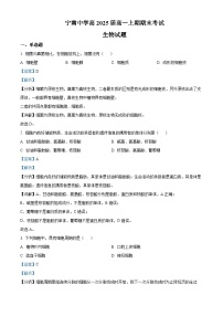 2022-2023学年四川省凉山州宁南中学高一上学期期末生物试题（解析版）