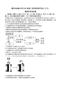 2023届广东省惠州市实验中学高三5月适应性考试生物试题