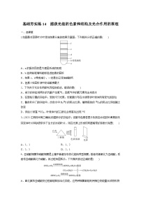 2024届高三生物一轮复习基础夯实练14：捕获光能的色素和结构及光合作用的原理