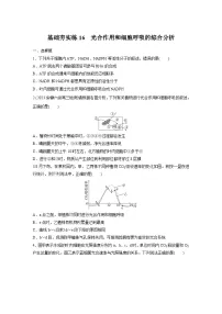 2024届高三生物一轮复习基础夯实练16:光合作用和细胞呼吸的综合分析