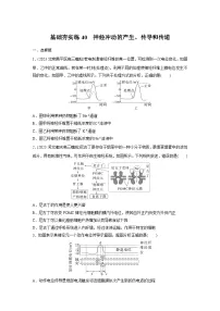 2024届高三生物一轮复习基础夯实练40:神经冲动的产生、传导和传递