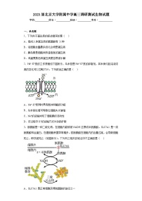 2023届北京大学附属中学高三调研测试生物试题（含解析）