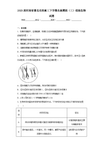 2023届河南省豫北名校高三下学期全真模拟（三）理综生物试题（含解析）