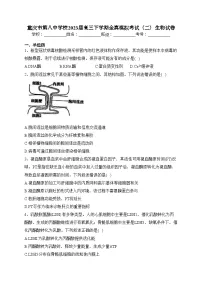 重庆市第八中学校2023届高三下学期全真模拟考试(二)生物试卷(含答案)