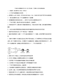 广西钦州市第四中学2022-2023学年高一下学期5月月考生物试卷