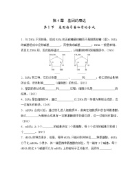 第4章 基因的表达——【期末复习】高一生物单元知识点梳理（人教版2019必修2）