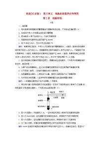 新高考适用2024版高考生物一轮总复习练案8必修1分子与细胞第三单元细胞的能量供应和利用第2讲细胞呼吸