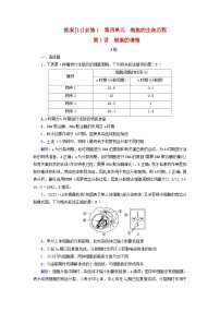 新高考适用2024版高考生物一轮总复习练案11必修1分子与细胞第四单元细胞的生命历程第1讲细胞的增殖