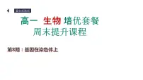 第8期 基因在染色体上——2022-2023学年高一生物期末专题复习课件（人教版2019必修2）
