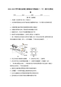 2022-2023学年湖北省部分普通高中联盟高二（下）期中生物试卷（含解析）