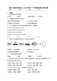 黑龙江省佳木斯市2021-2022学年高一下学期期末考试生物试卷(含答案)