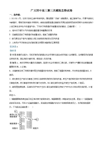 精品解析：2023届广东省广州大学附中高三三模生物试题（解析版）