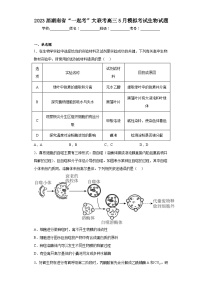 2023届湖南省“一起考”大联考高三5月模拟考试生物试题（含解析）