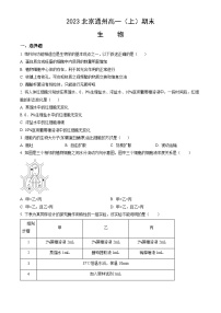 2023北京通州高一（上）期末生物（教师版）