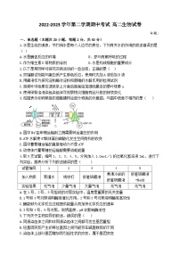 2022-2023学年广东省汕头市金山中学高二下学期期中考试生物含答案