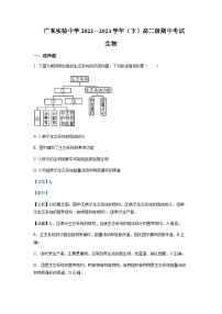 2022-2023学年广东实验中学高二下学期期中生物含解析