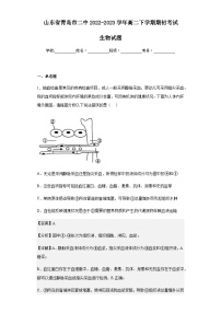 2022-2023学年山东省青岛市二中高二下学期期初考试生物试题含解析