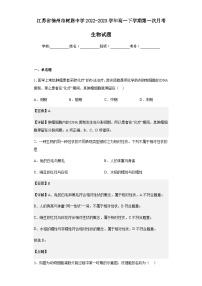 2022-2023学年江苏省徐州市树恩中学高一下学期第一次月考生物试题含解析