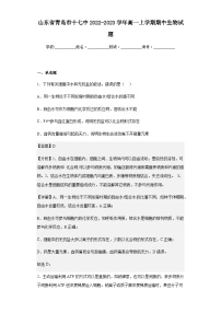 2022-2023学年山东省青岛市十七中高一上学期期中生物试题含解析