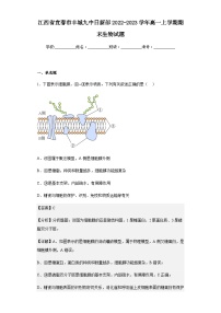 2022-2023学年江西省宜春市丰城九中日新部高一上学期期末生物试题含解析